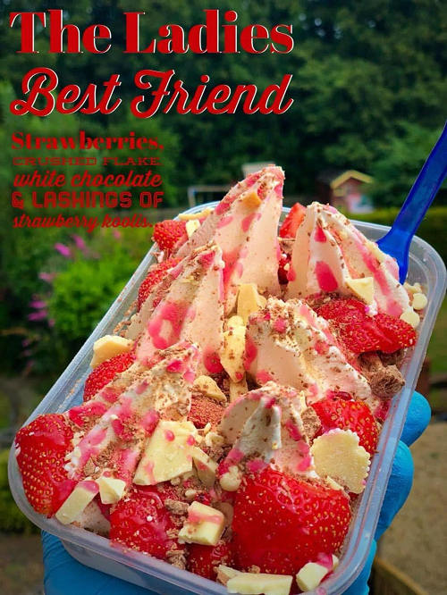 The Ladies Best Friend 